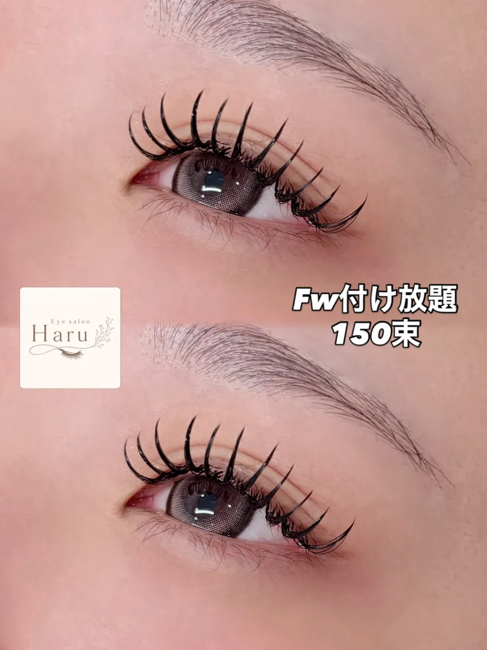 【フラットダブル付け放題】